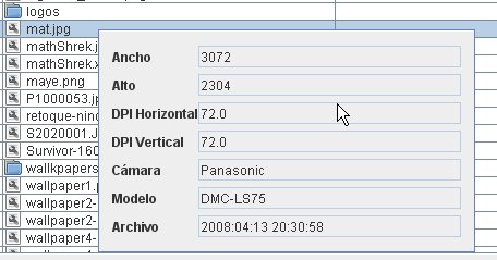 EXIF Pane